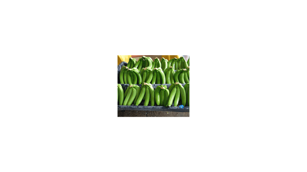 Plátano miniatura 3